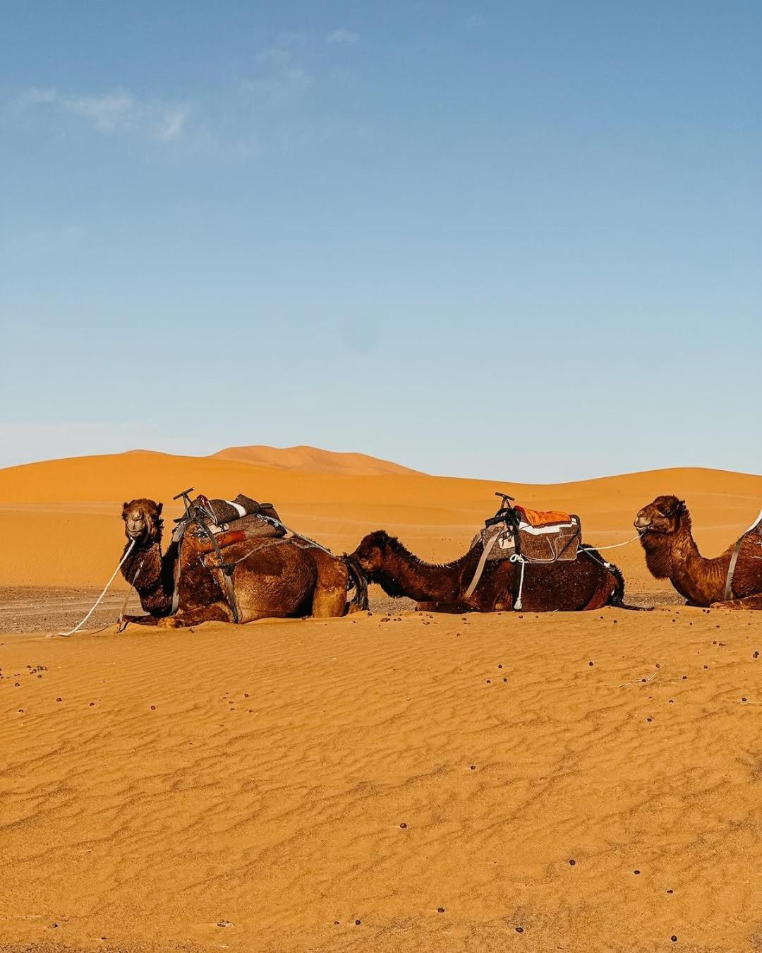 Merzouga Morocco Desert Luxury Camp Exterior photo